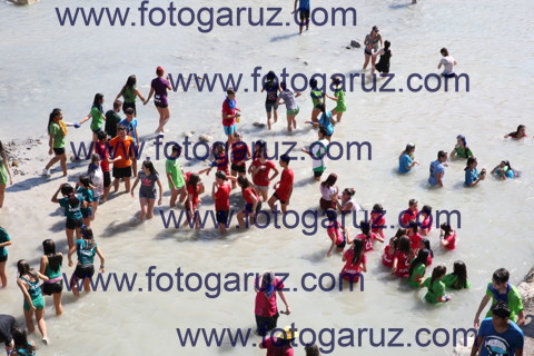 DESFILE DE CARROZAS